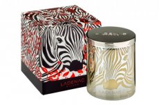 Africa Zebra bougie parfumée