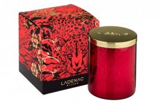 Africa Leopardo bougie parfumée